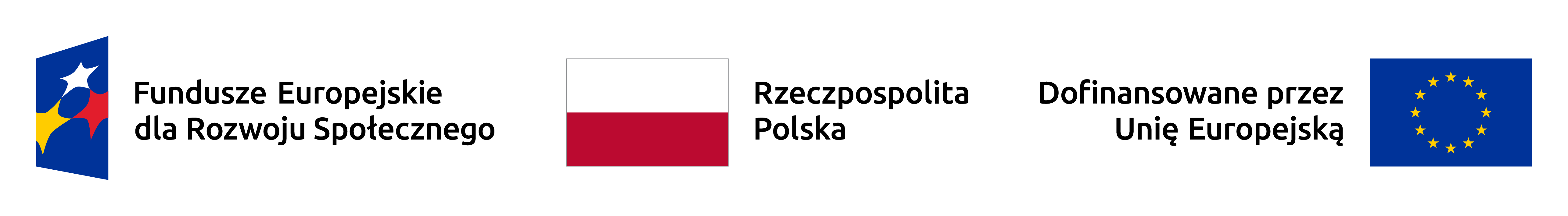 Baner informujący o dofinansowaniu projektu z Funduszy Europejskich dla Rozwoju Społecznego, przez Rzeczpospolitą Polską oraz Unię Europejską.